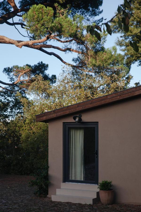 A Padaria Farmhouse Cinfães Exterior photo